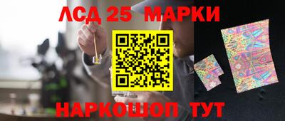 прущие грибы Усть-Илимск